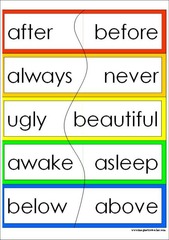 antonym antonym