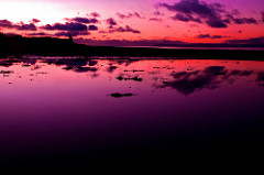 dusk dusk
