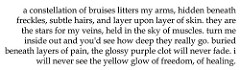 extended metaphor extended metaphor