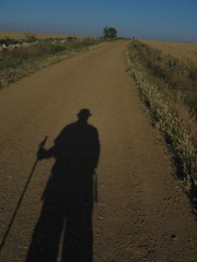 My Shadow My Shadow