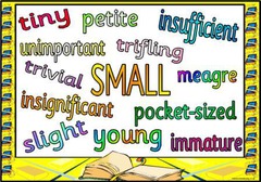 synonym synonym