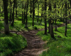 The Road Not Taken The Road Not Taken