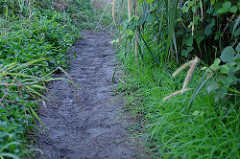 trodden trodden