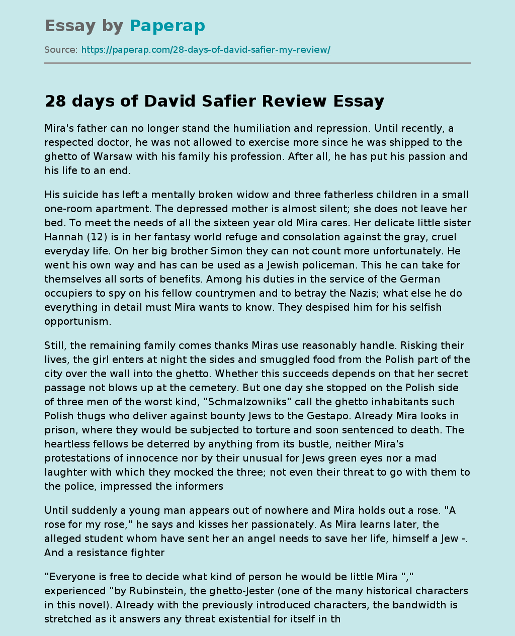 28 days of David Safier Review