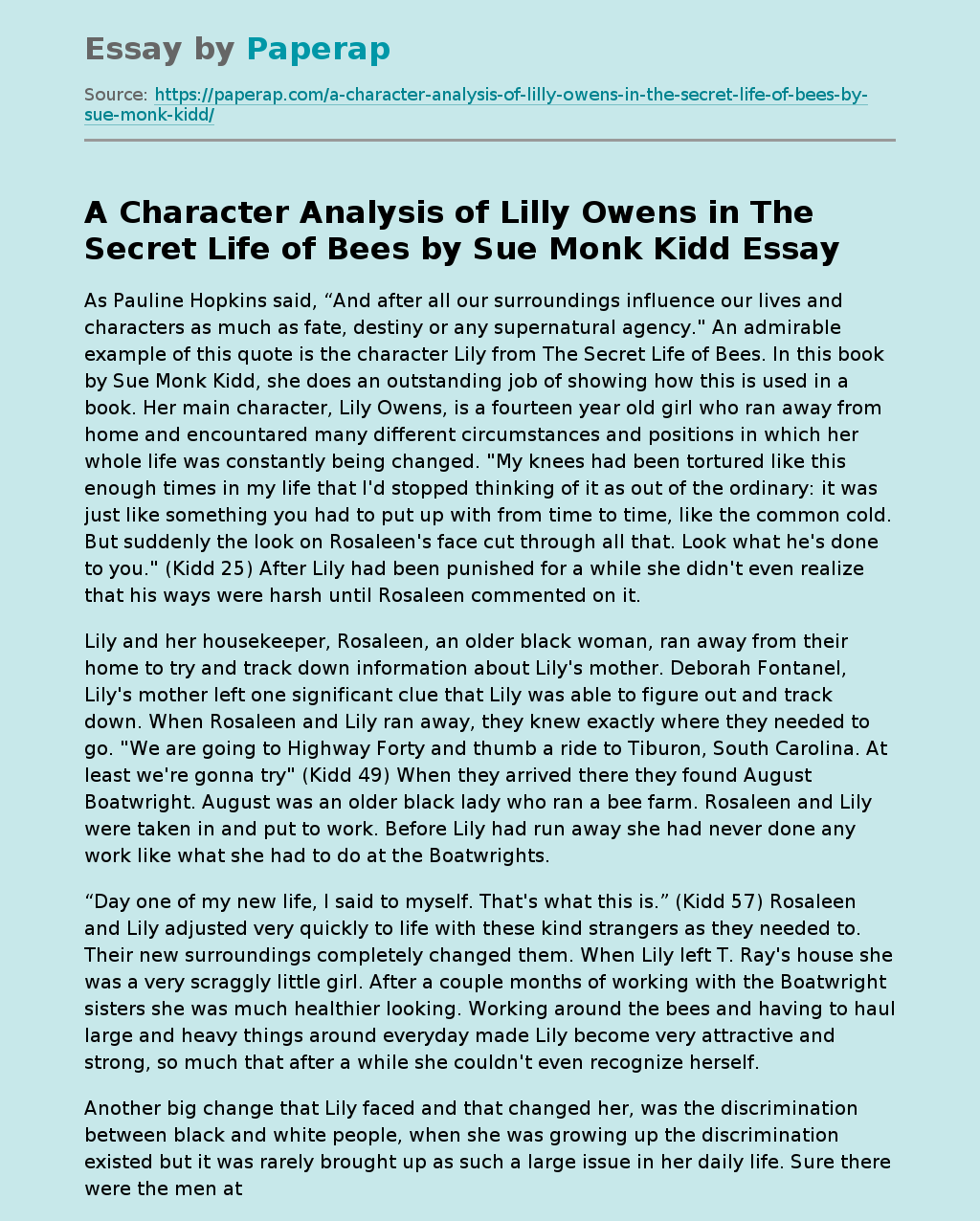 A Character Analysis of Lilly Owens in The Secret Life of Bees by Sue Monk Kidd
