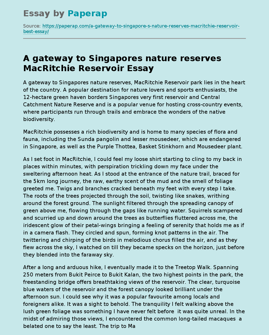 A Gateway to Singapores Nature Reserves MacRitchie Reservoir
