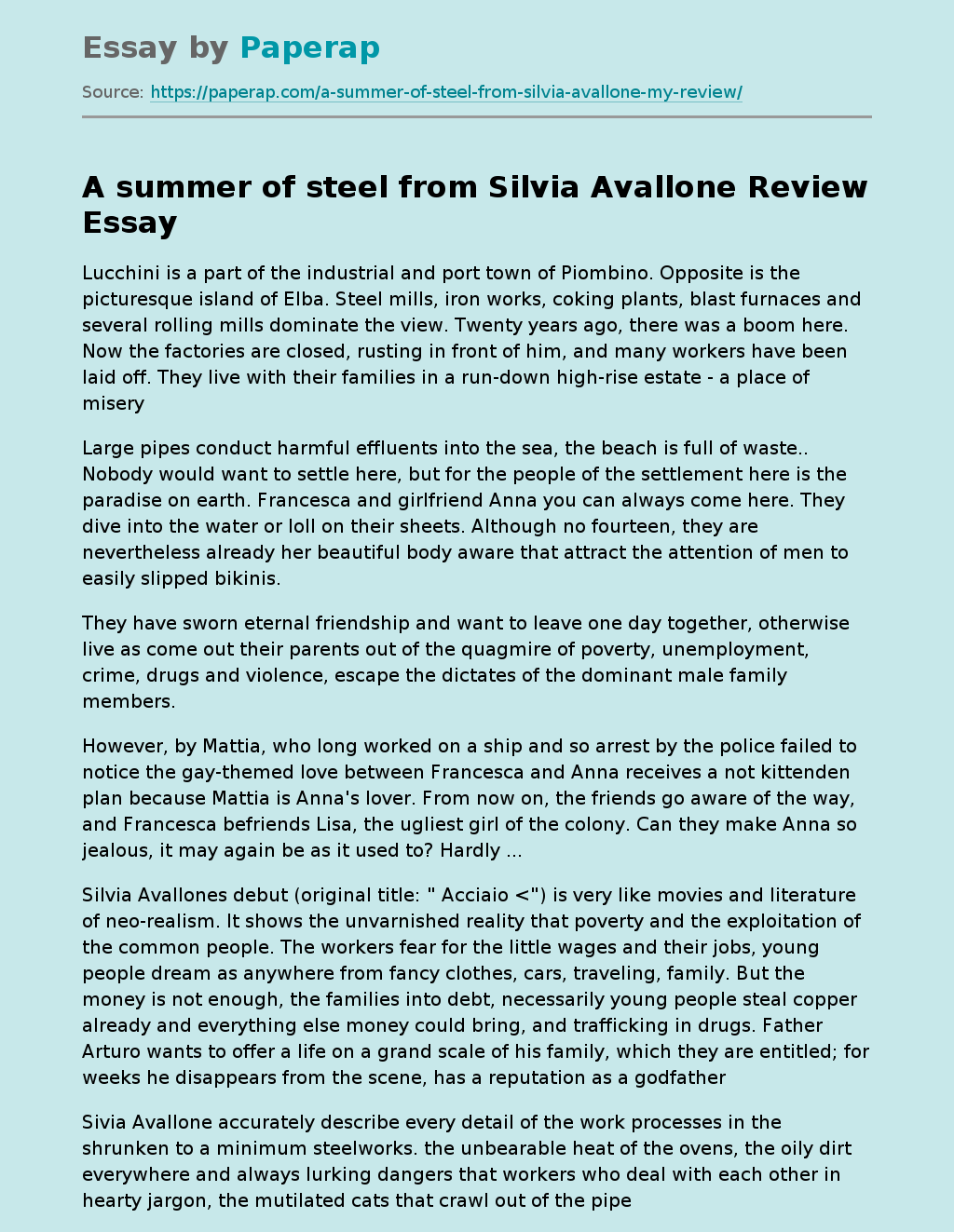 A Summer Of Steel From Silvia Avallone Review