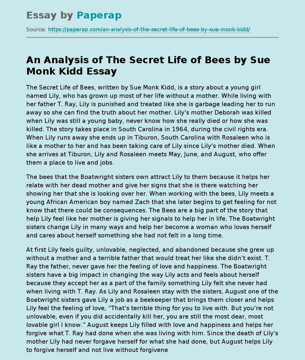 An Analysis of The Secret Life of Bees by Sue Monk Kidd