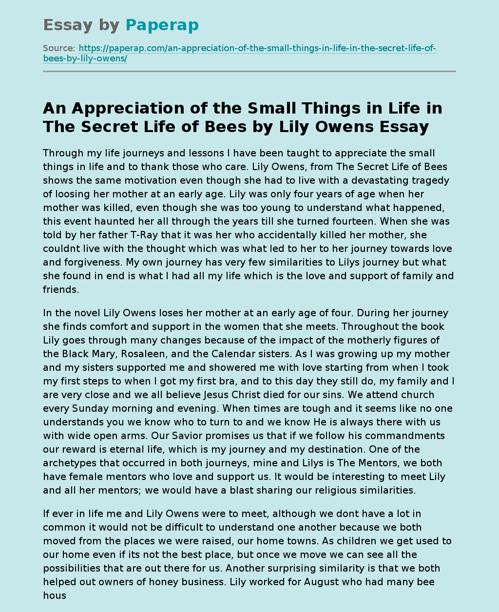 An Appreciation of the Small Things in Life in The Secret Life of Bees by Lily Owens