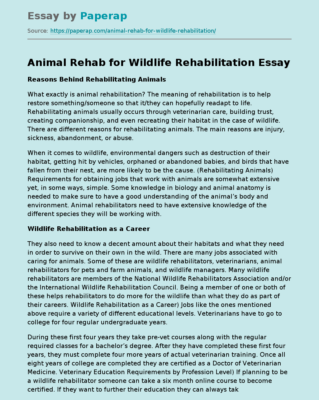 Animal Rehab for Wildlife Rehabilitation