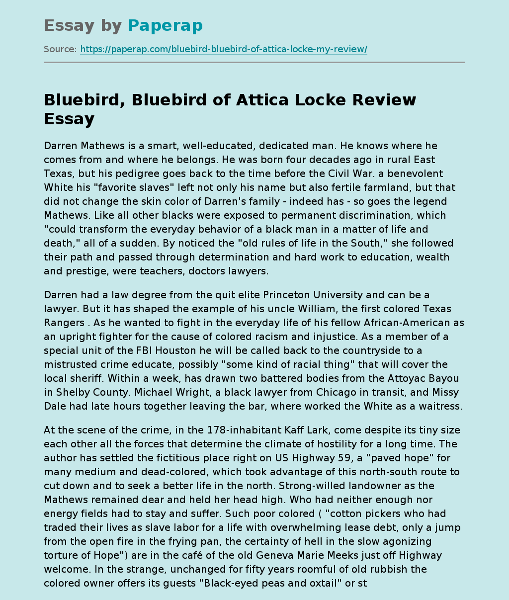 Bluebird, Bluebird of Attica Locke Review