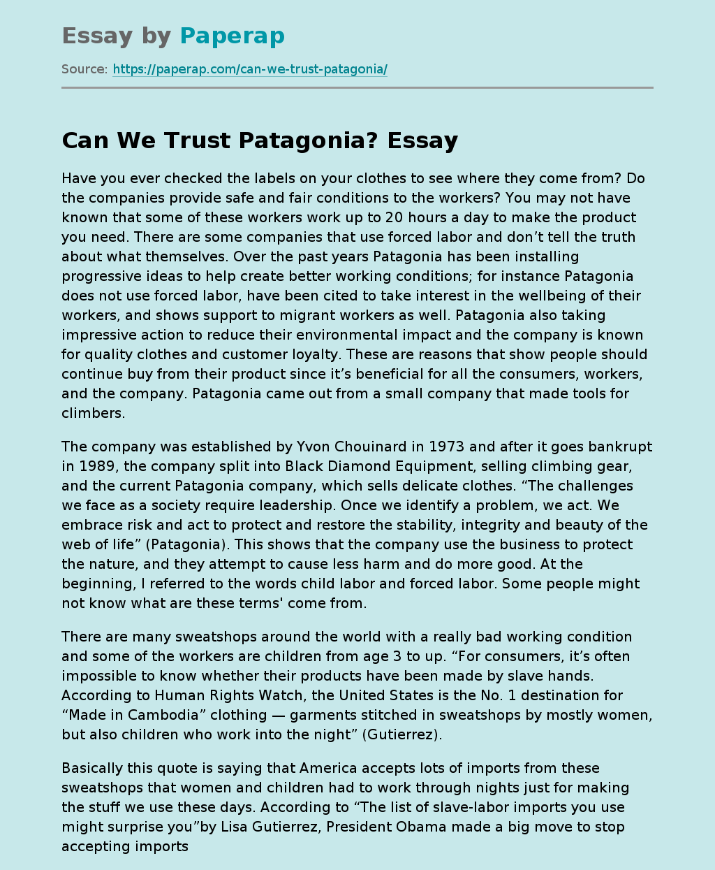 Can We Trust Patagonia?