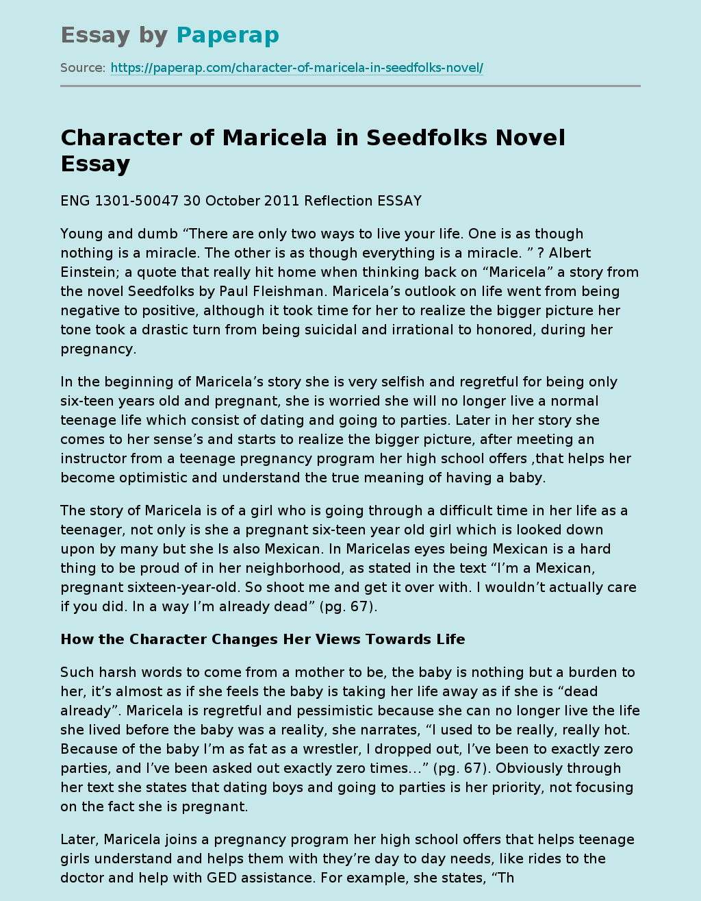 Character of Maricela in Seedfolks Novel
