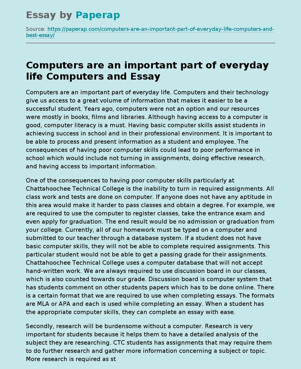 my computer experience essay