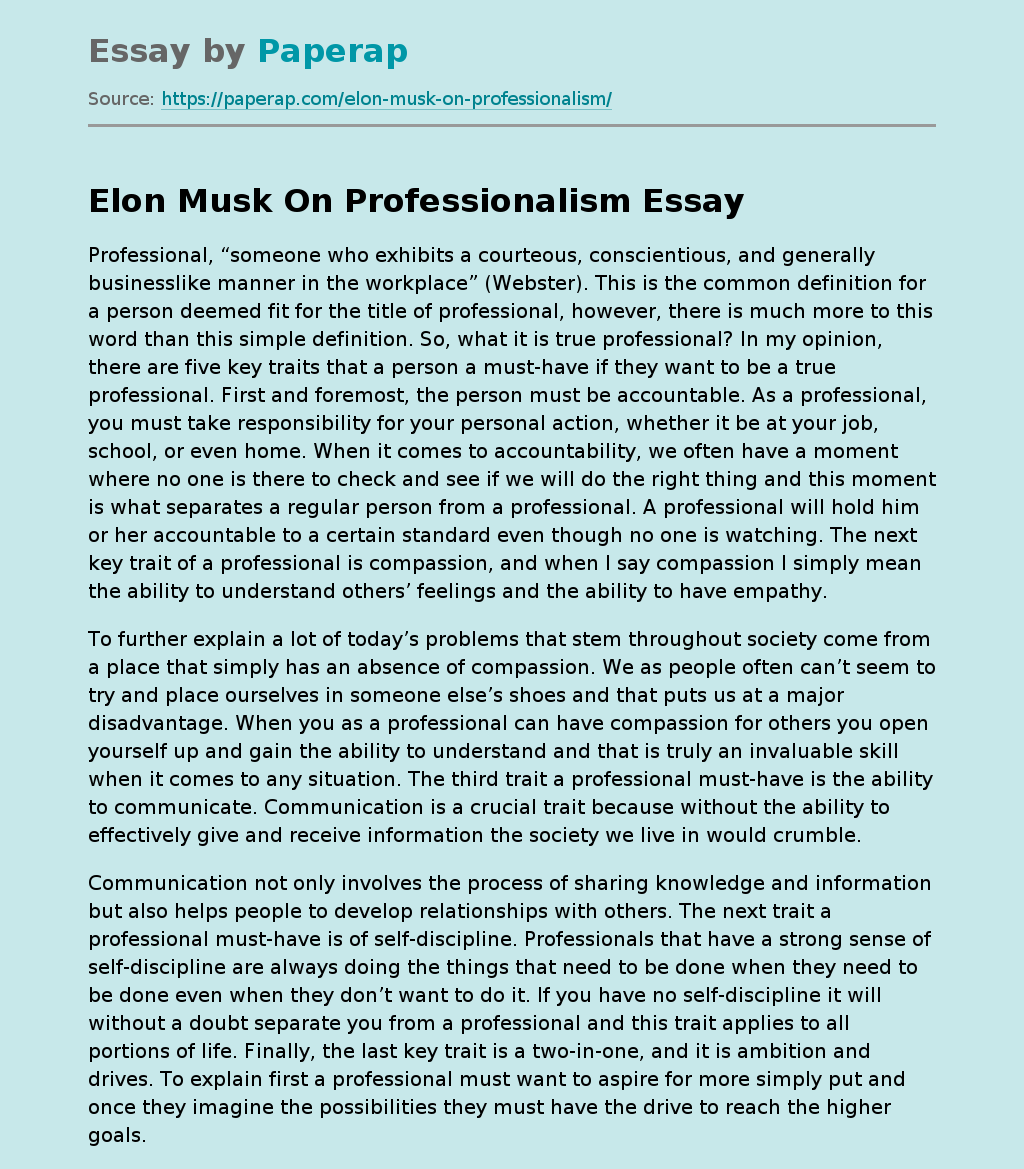 Elon Musk On Professionalism