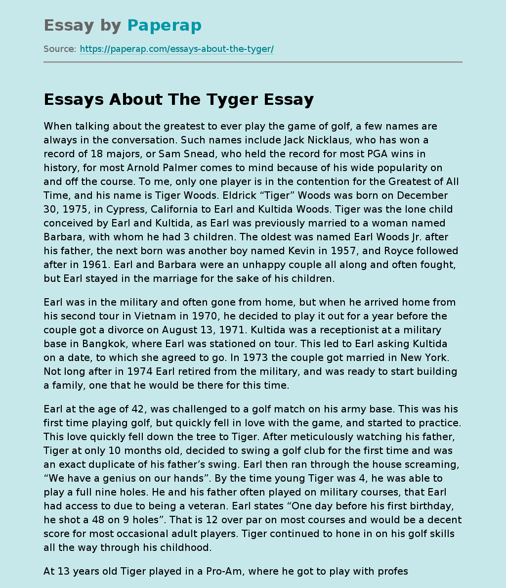 Essays About The Tyger