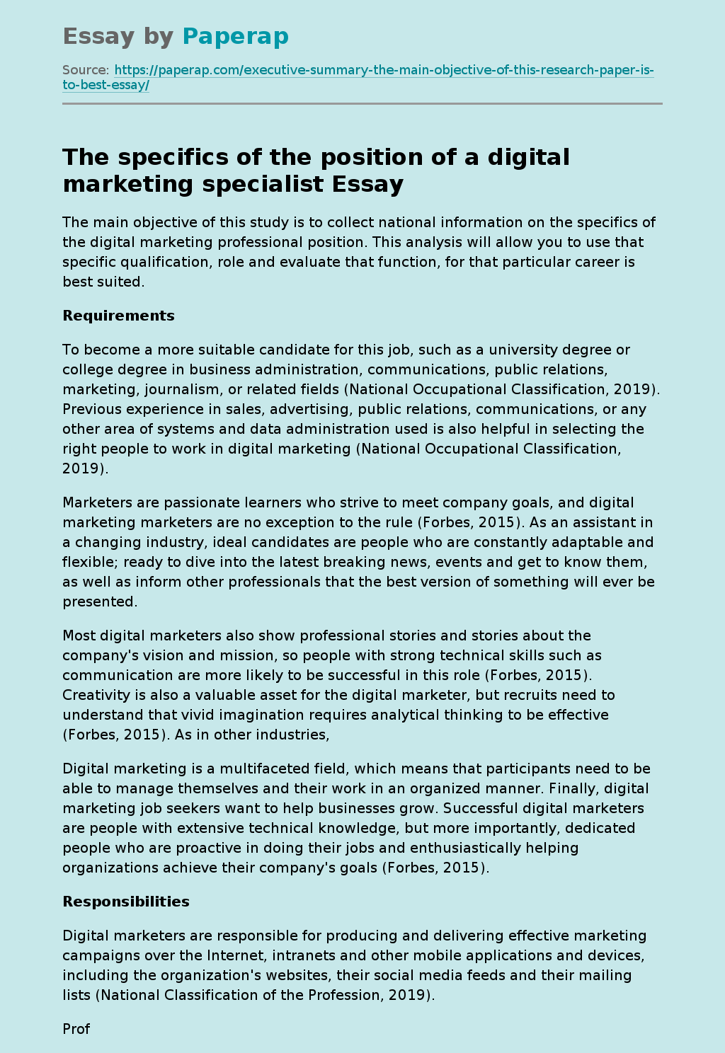 The specifics of the position of a digital marketing specialist