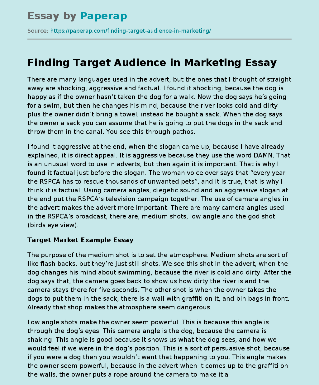 target market essay example