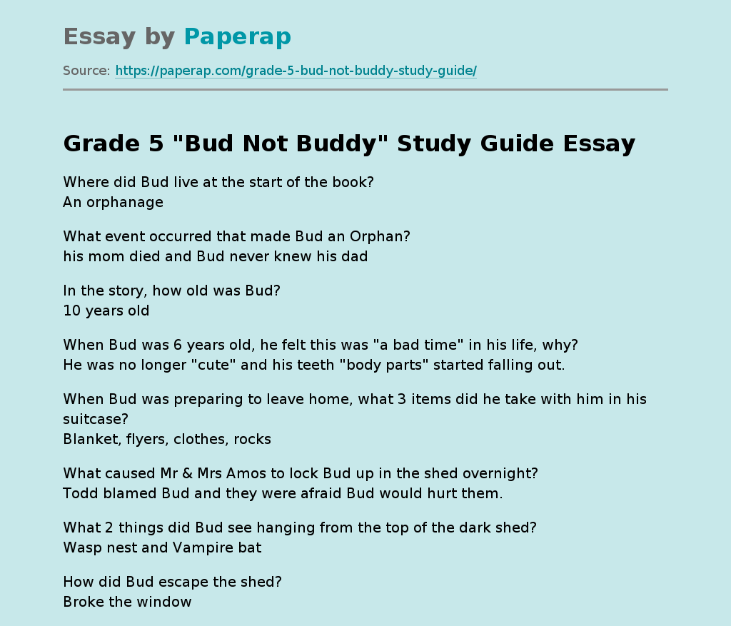 Grade 5 &quot;Bud Not Buddy&quot; Study Guide