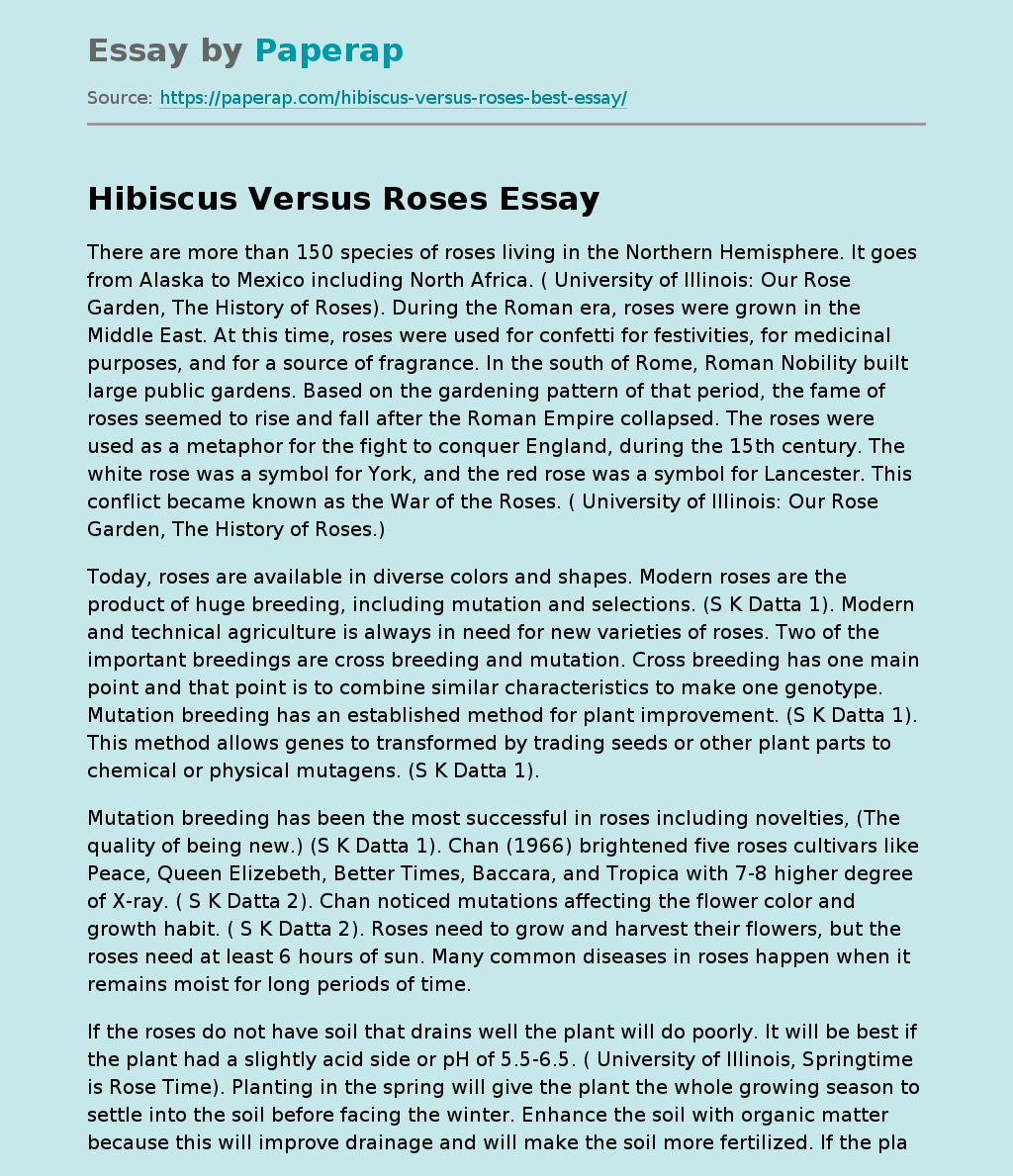 Origin and Care of Hibiscus and Rose
