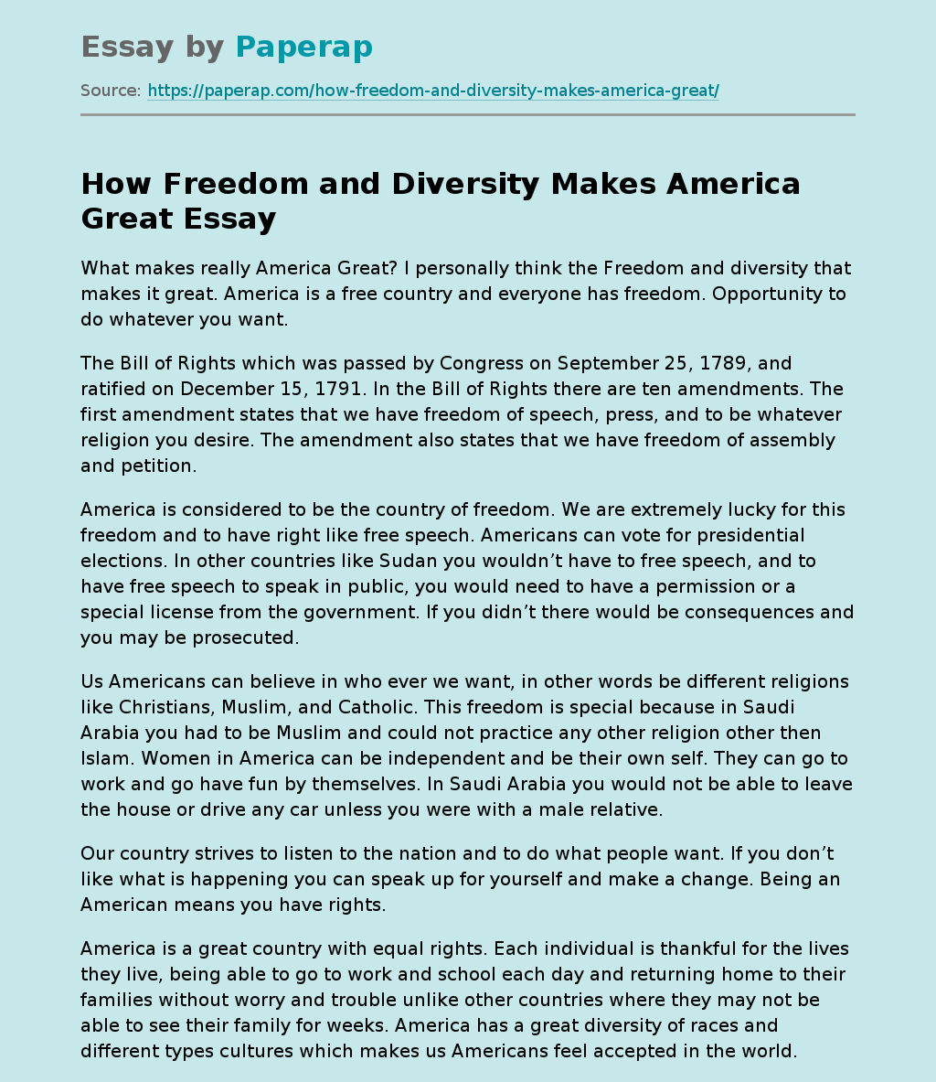 How Freedom and Diversity Makes America Great