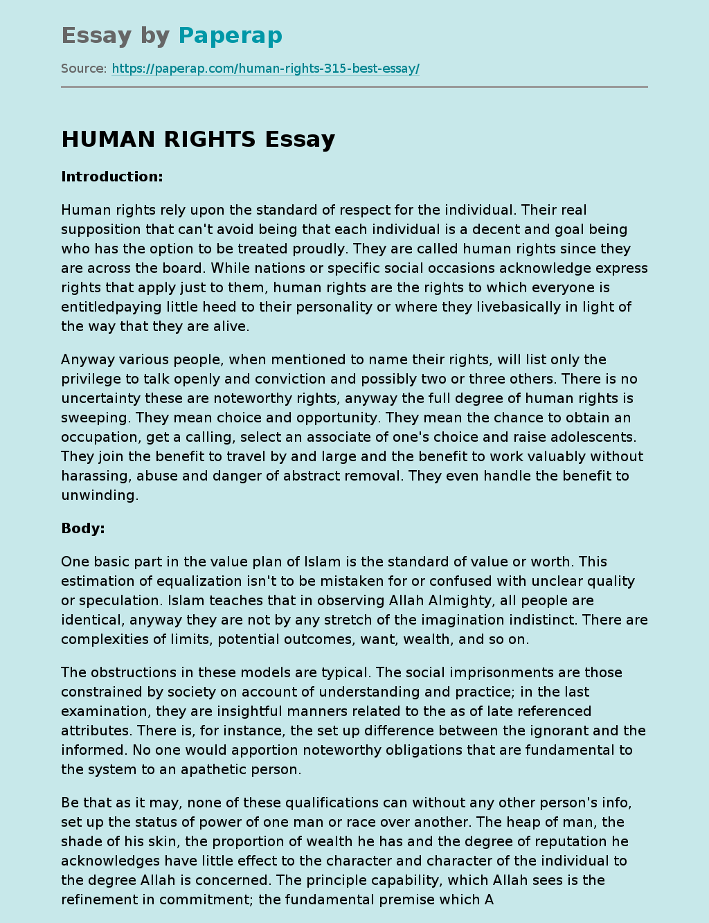 essay on human rights and police