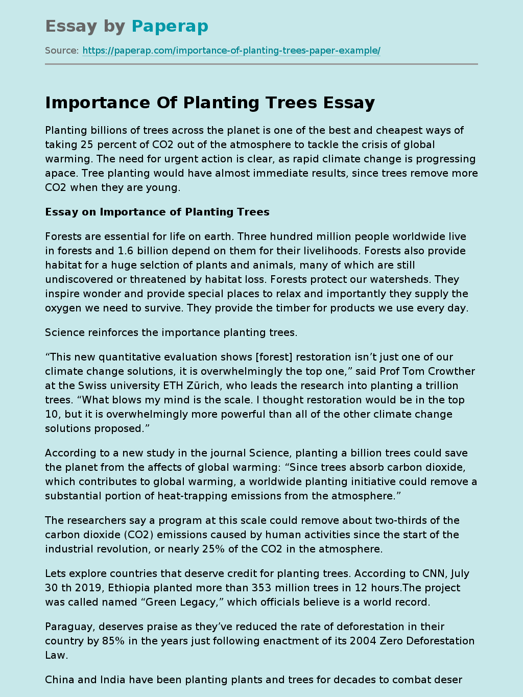 essay on importance of trees and plants