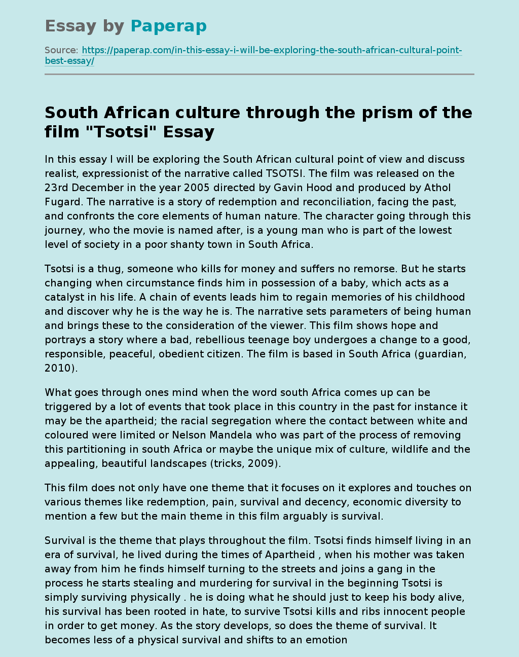 South African culture through the prism of the film "Tsotsi"