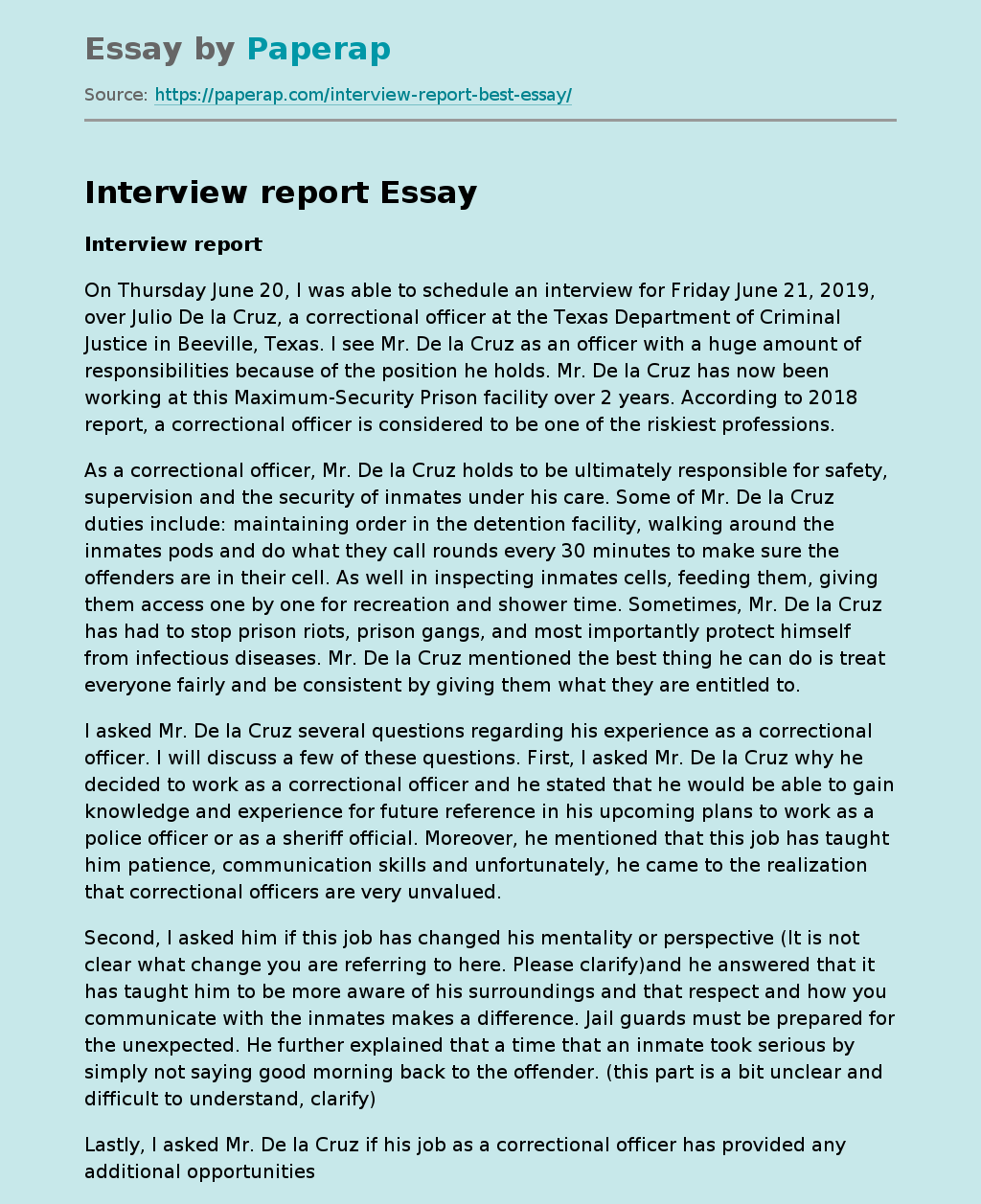 Interview Report Essay Sample
