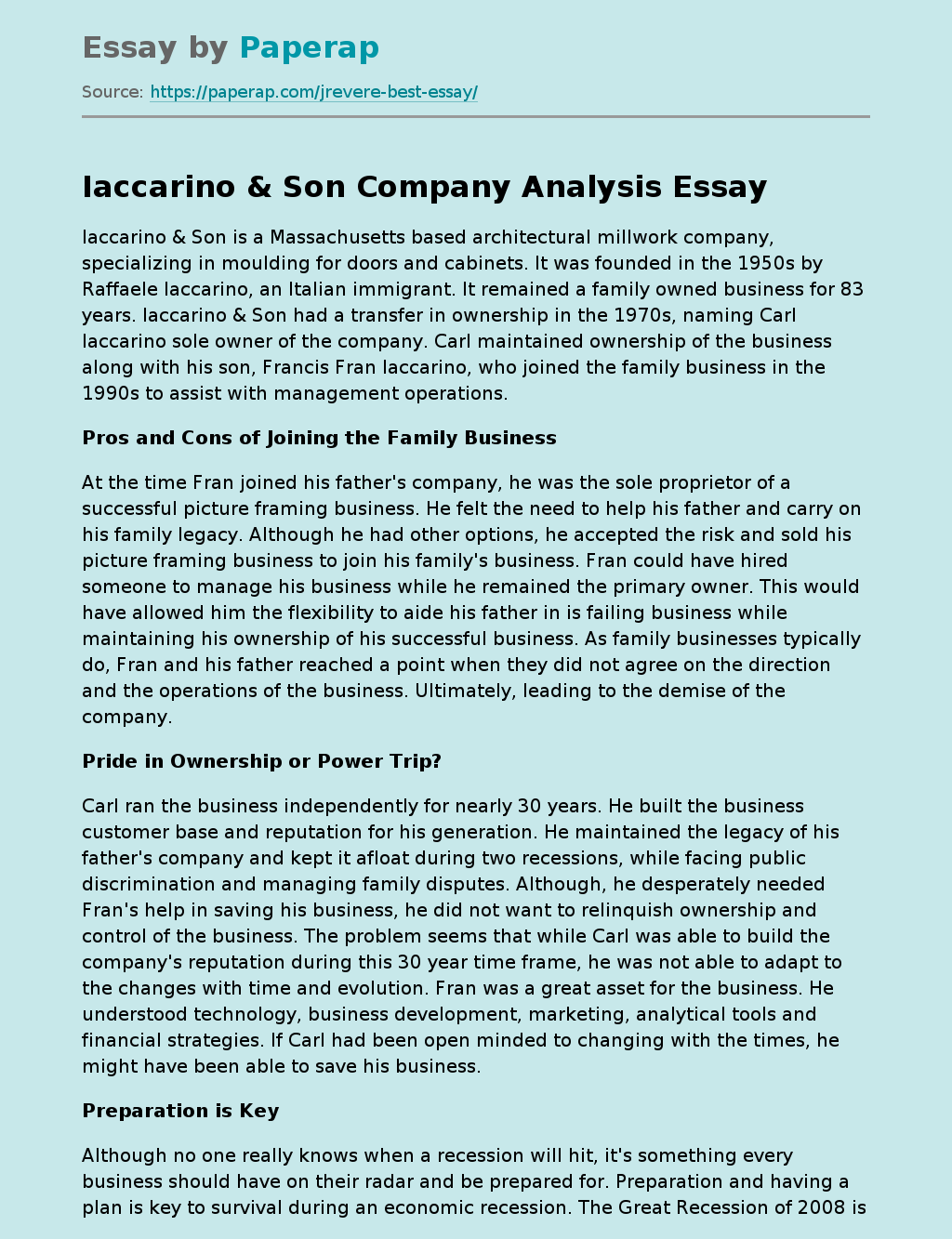 Iaccarino & Son Company Analysis
