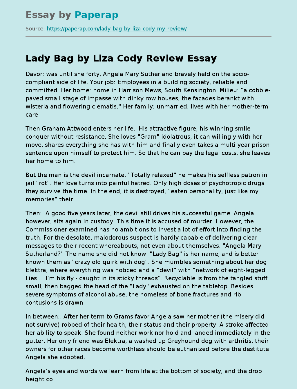 Lady Bag by Liza Cody Review