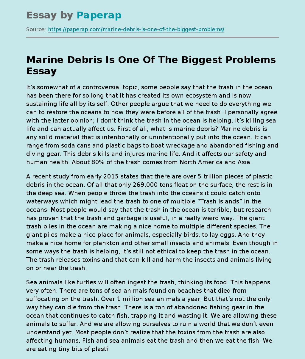 Marine Debris Is One Of The Biggest Problems