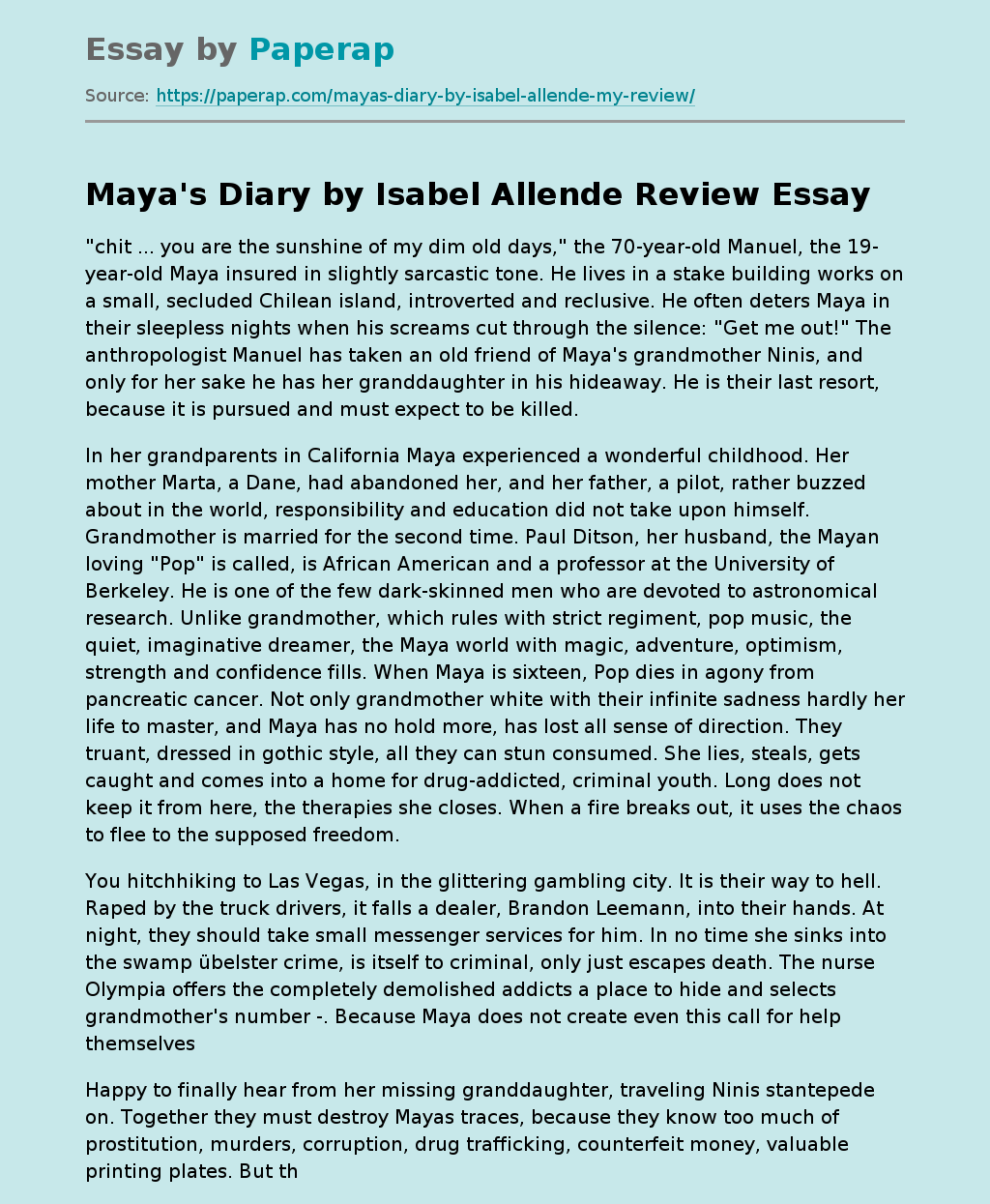 Maya's Diary by Isabel Allende Review
