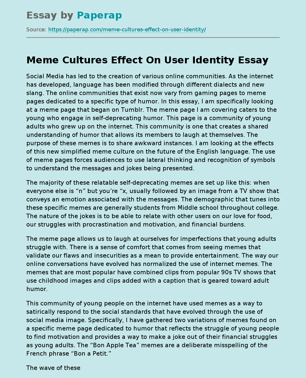 Meme Cultures Effect On User Identity