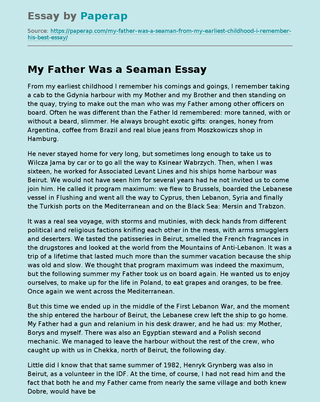 essay about my dream seaman