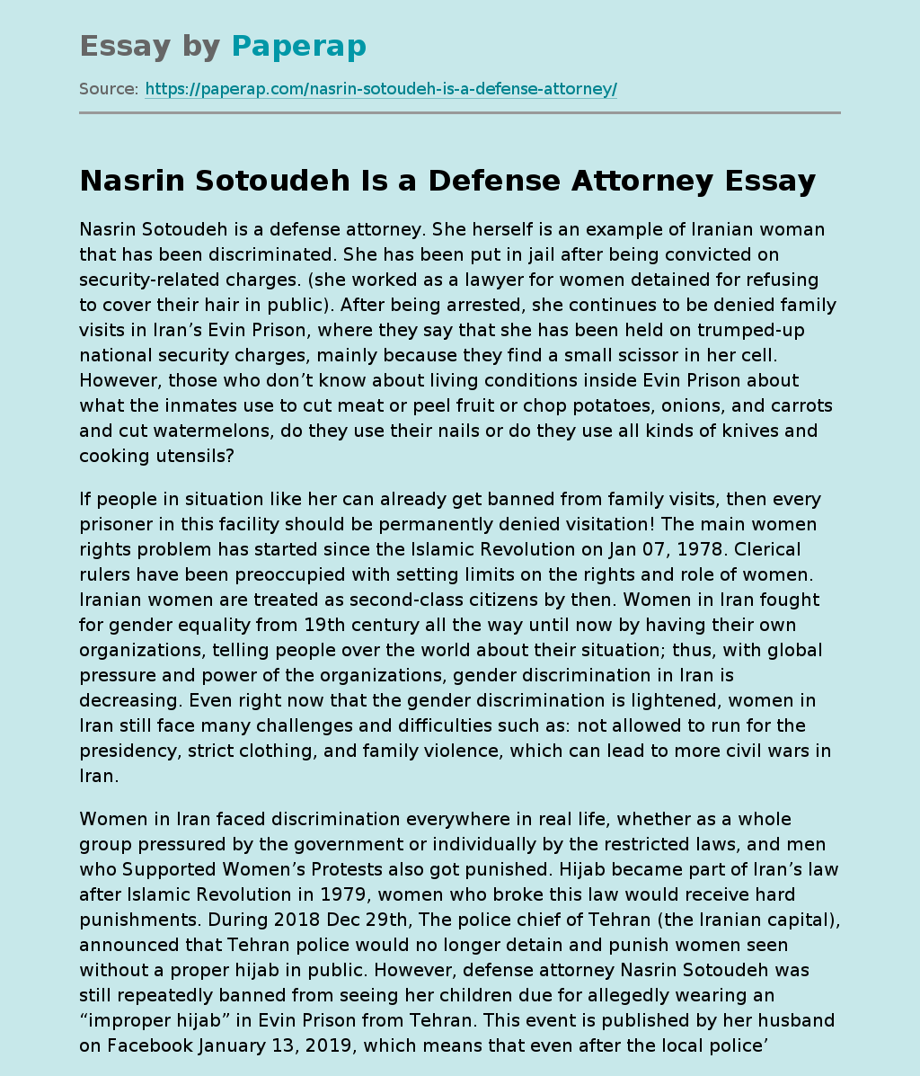 Nasrin Sotoudeh Is a Defense Attorney