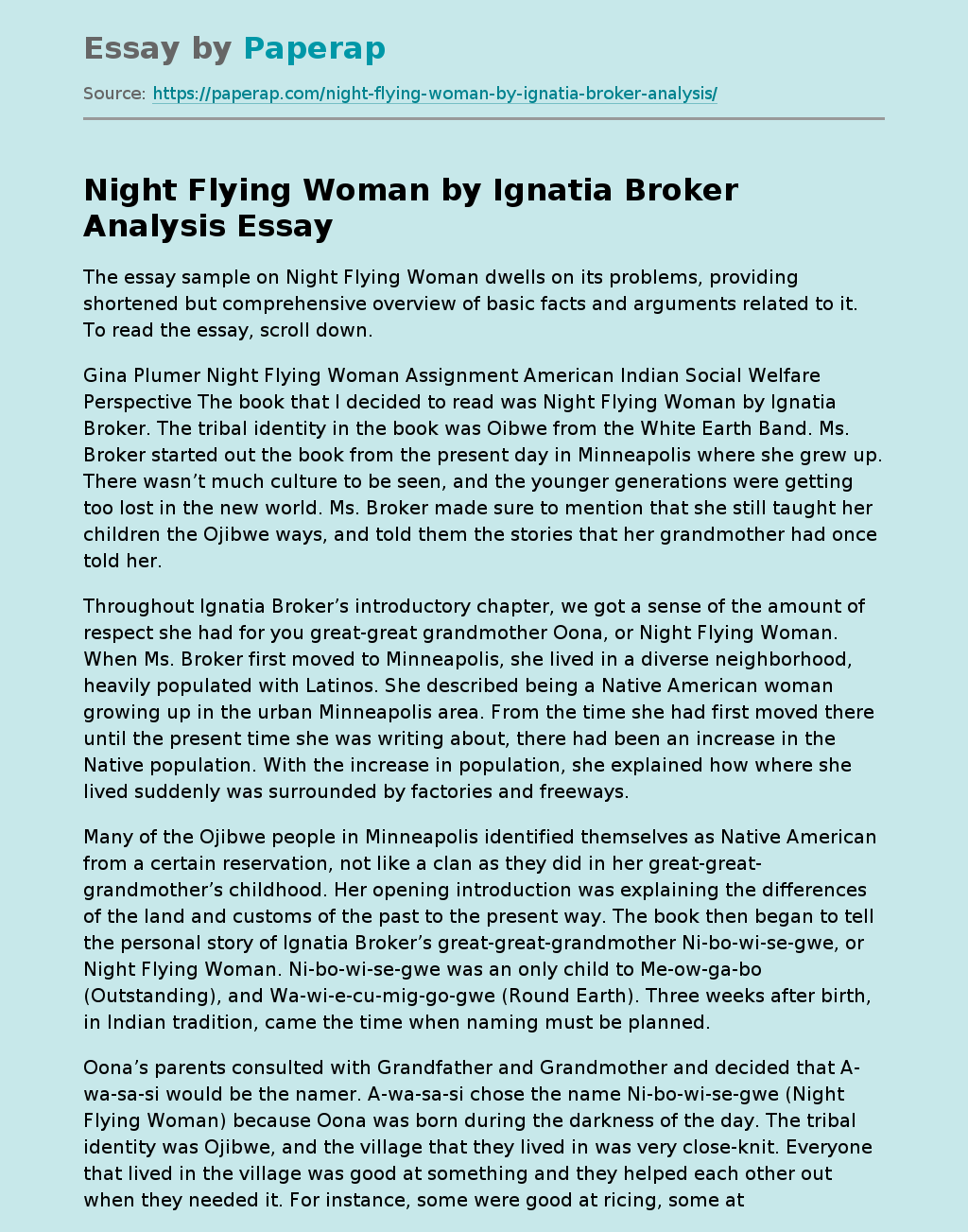 Night Flying Woman by Ignatia Broker Analysis