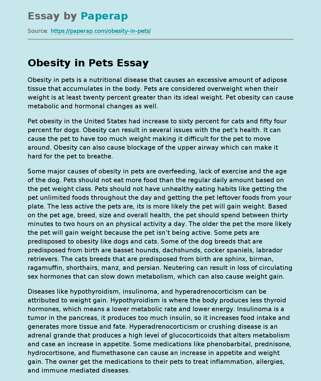 Obesity in Pets