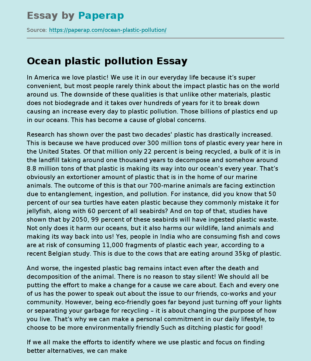 ocean pollution essay outline