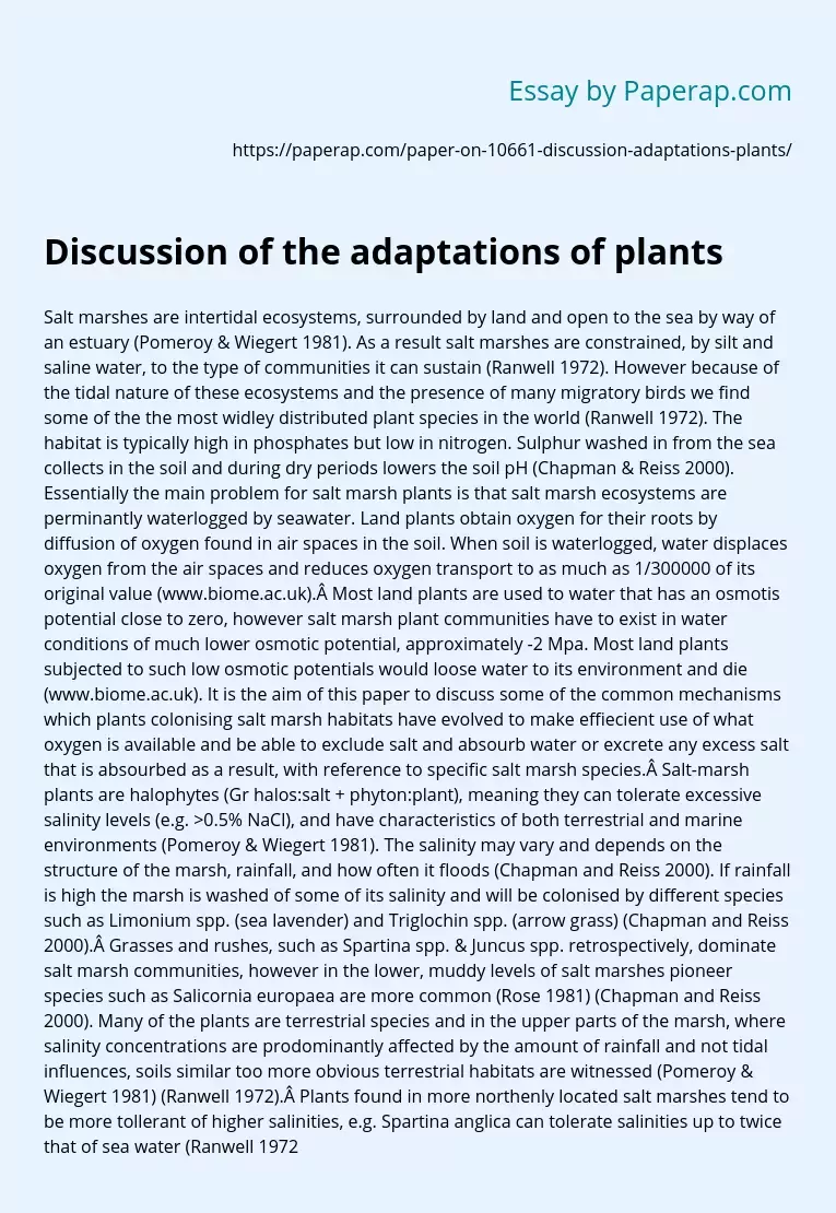 Discussion Of The Adaptations Of Plants