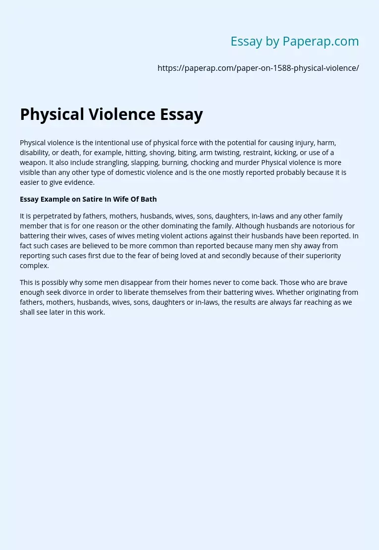 Physical Violence Essay