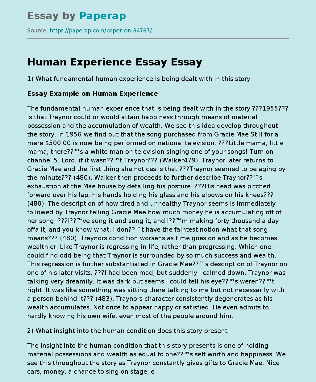 Human Experience Essay
