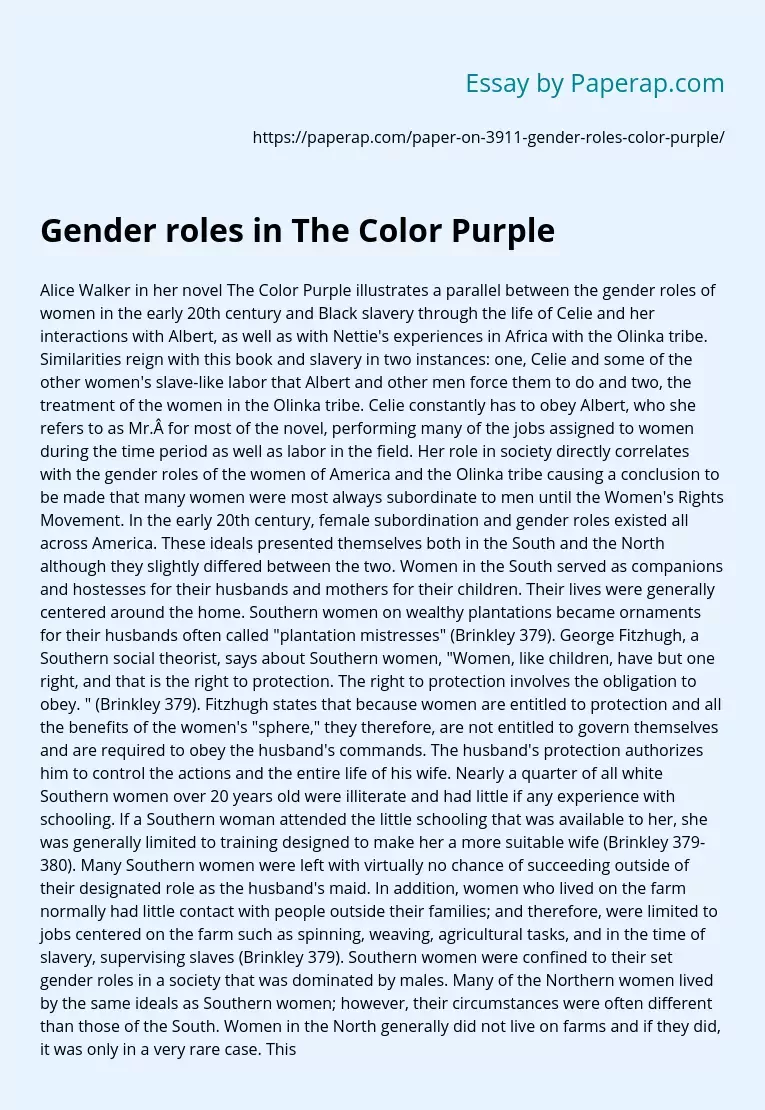 Gender roles in The Color Purple