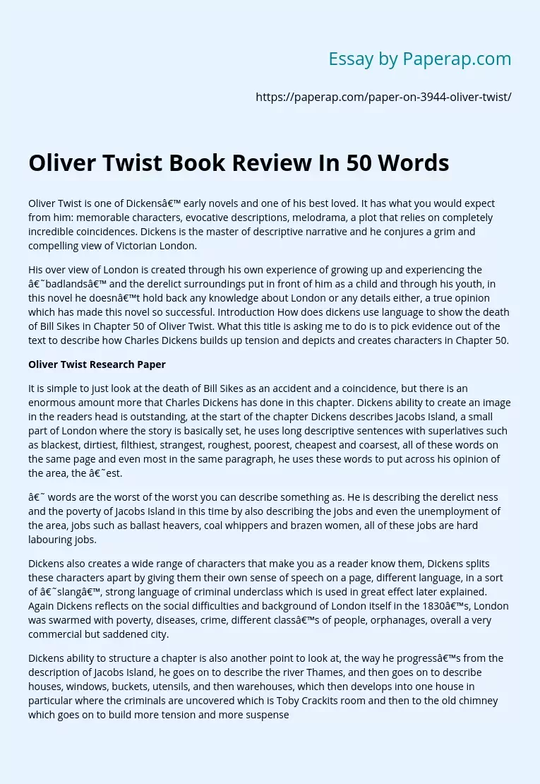 short summary of oliver twist in 300 words essay