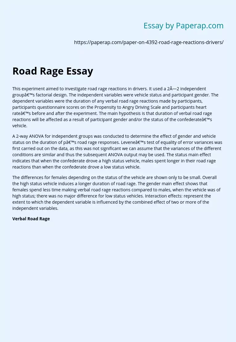 Road Rage Essay