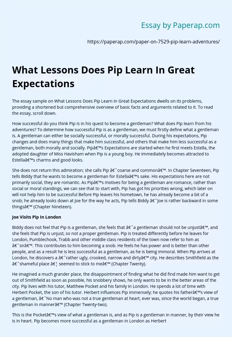 What Lessons Pip Learns in Great Expectations?