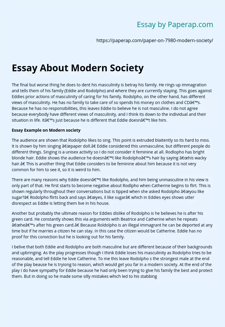 Essay About Modern Society