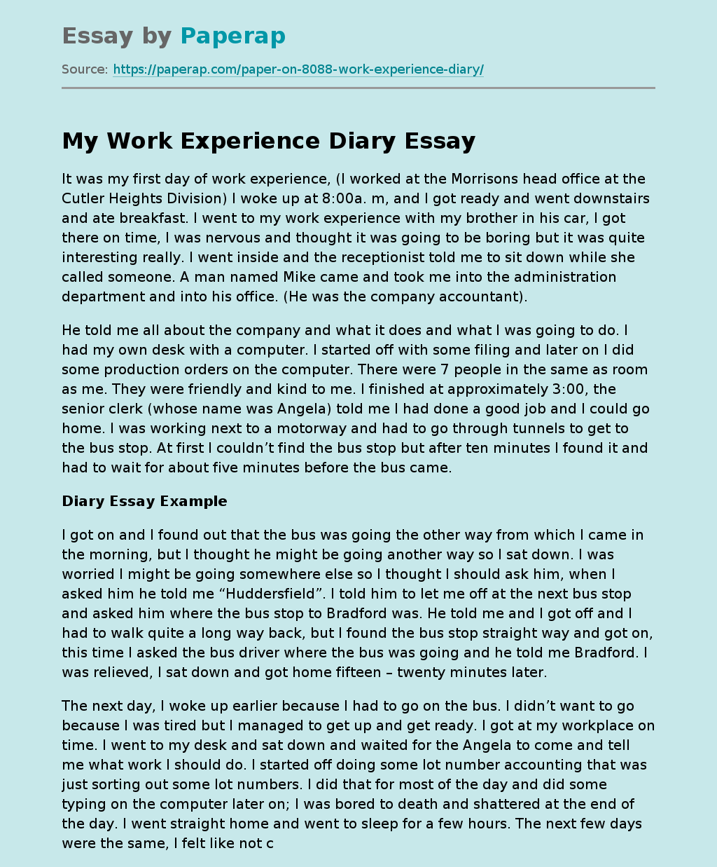 My Work Experience Diary