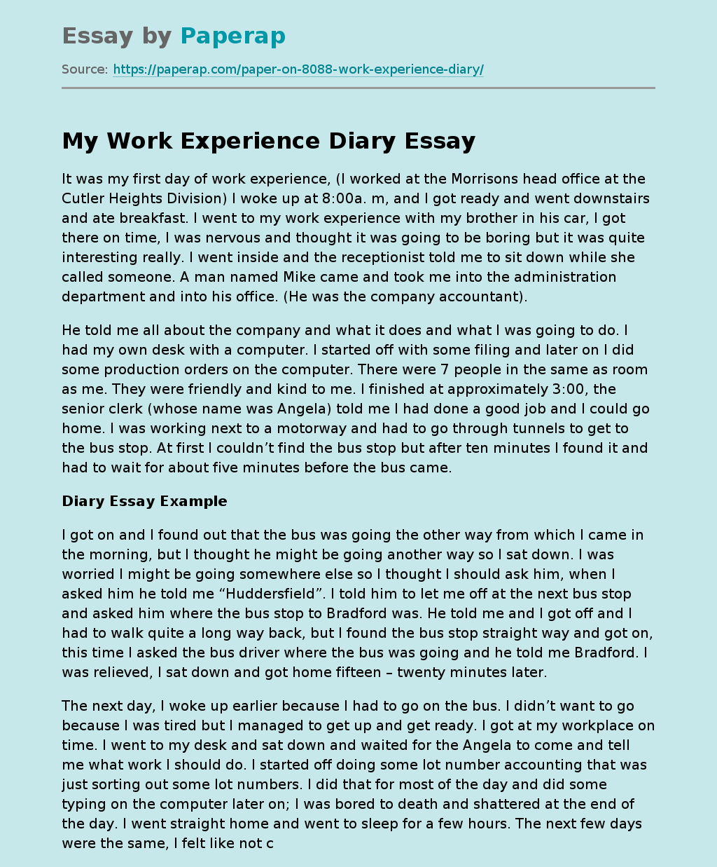 My Work Experience Diary Essay Example