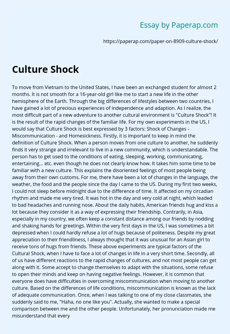 Culture Shock Example